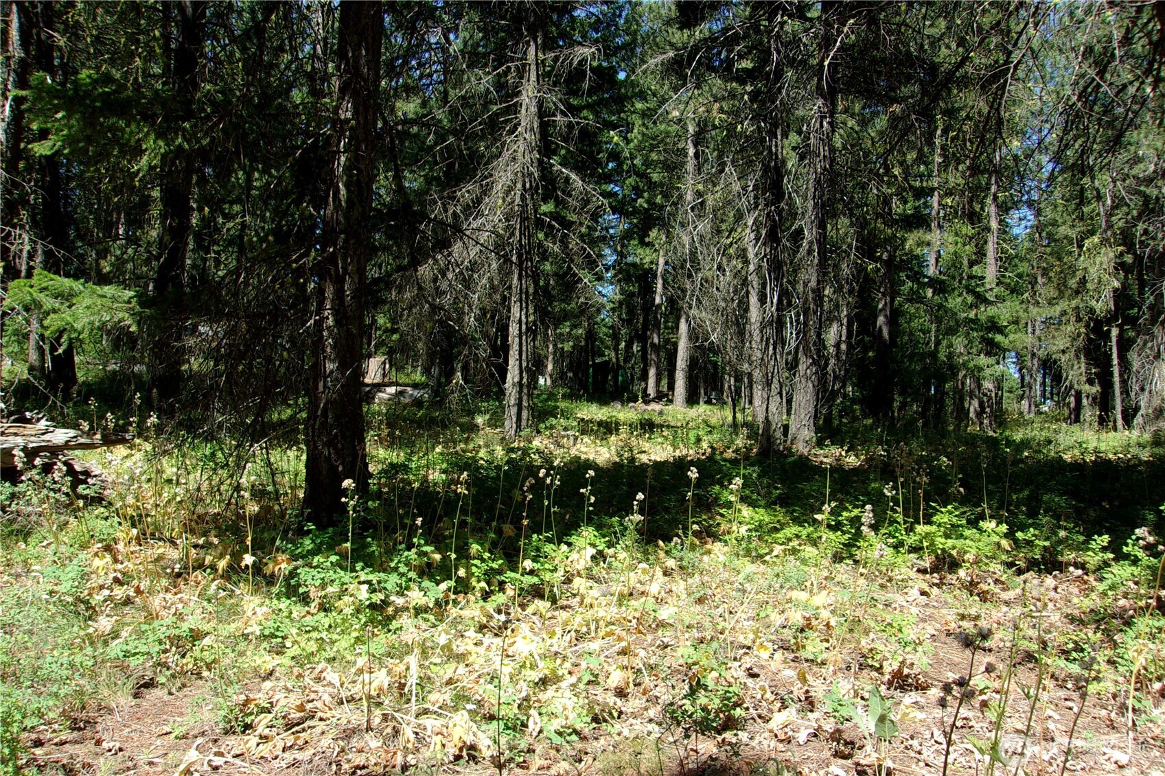 0 Elk Springs Road Property Photo 31