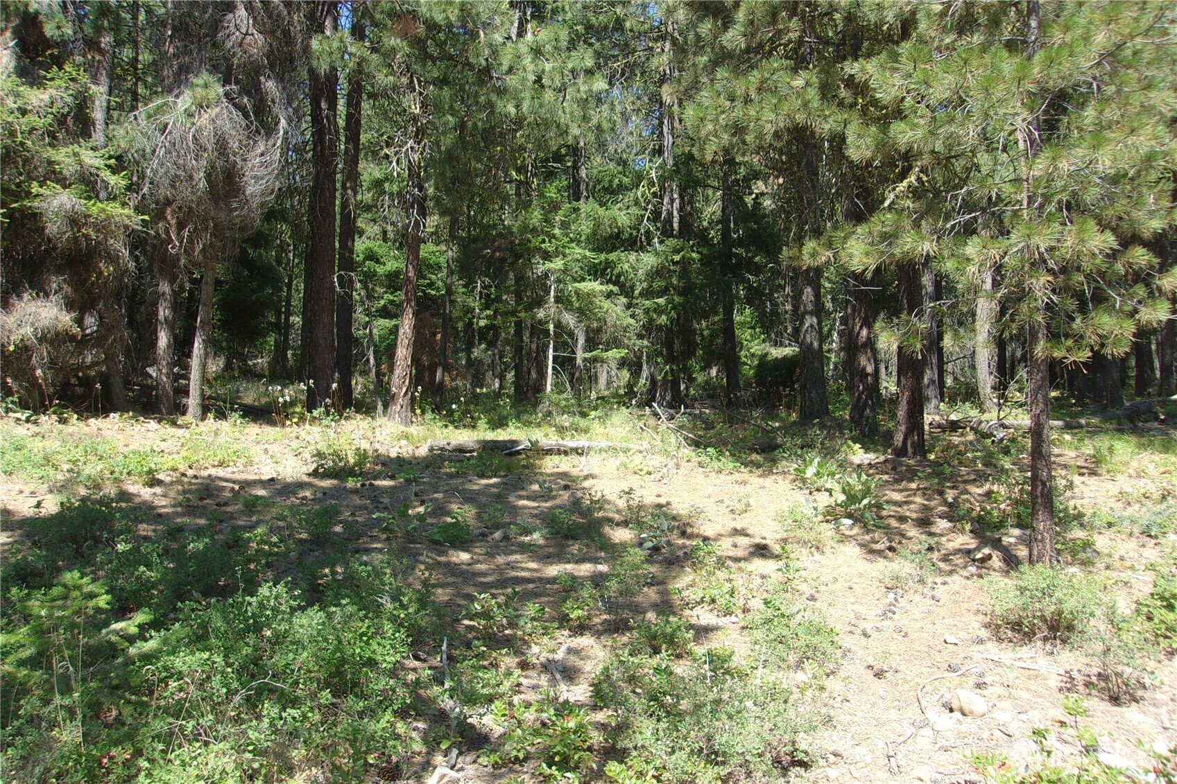 0 Elk Springs Road Property Photo 33