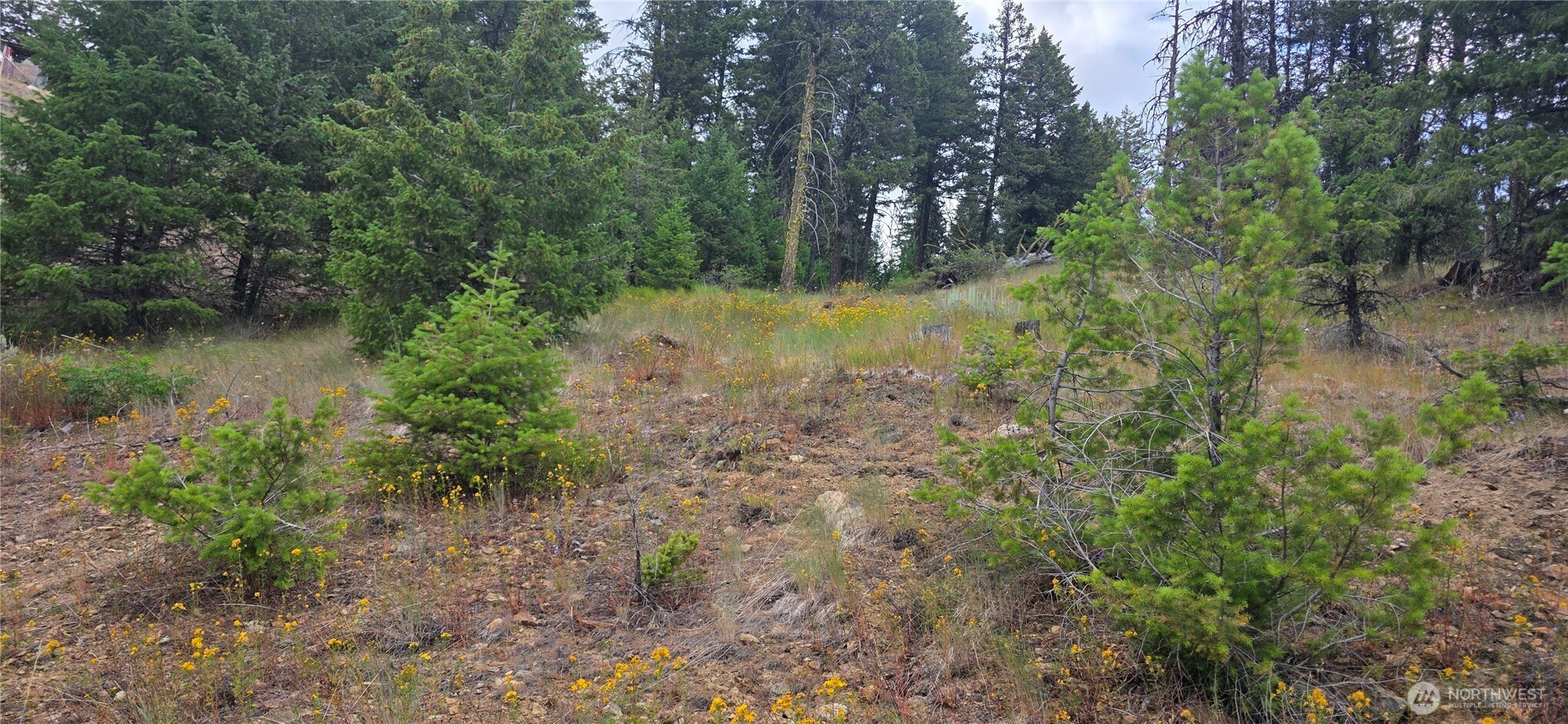 111 Tbd Pontiac Ridge Rd Property Photo 3