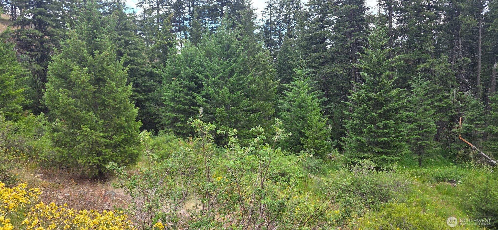 111 Tbd Pontiac Ridge Rd Property Photo 6