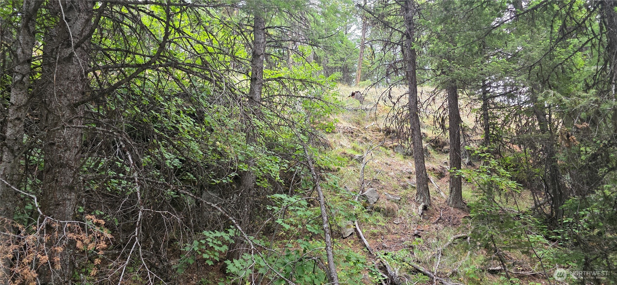 111 Tbd Pontiac Ridge Rd Property Photo 10
