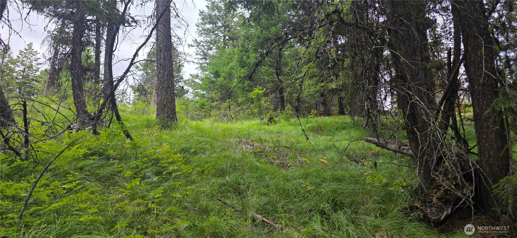111 Tbd Pontiac Ridge Rd Property Photo 12