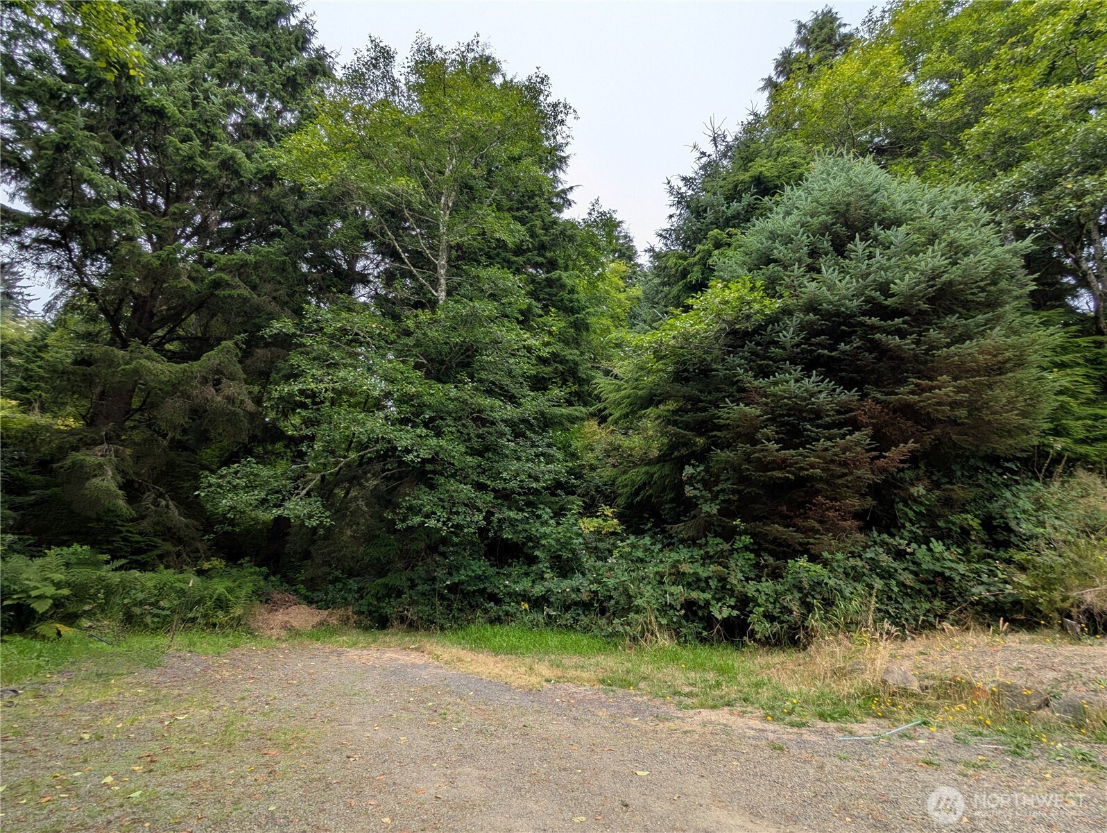 0 Lot 14 Lamontay Place Property Photo 1
