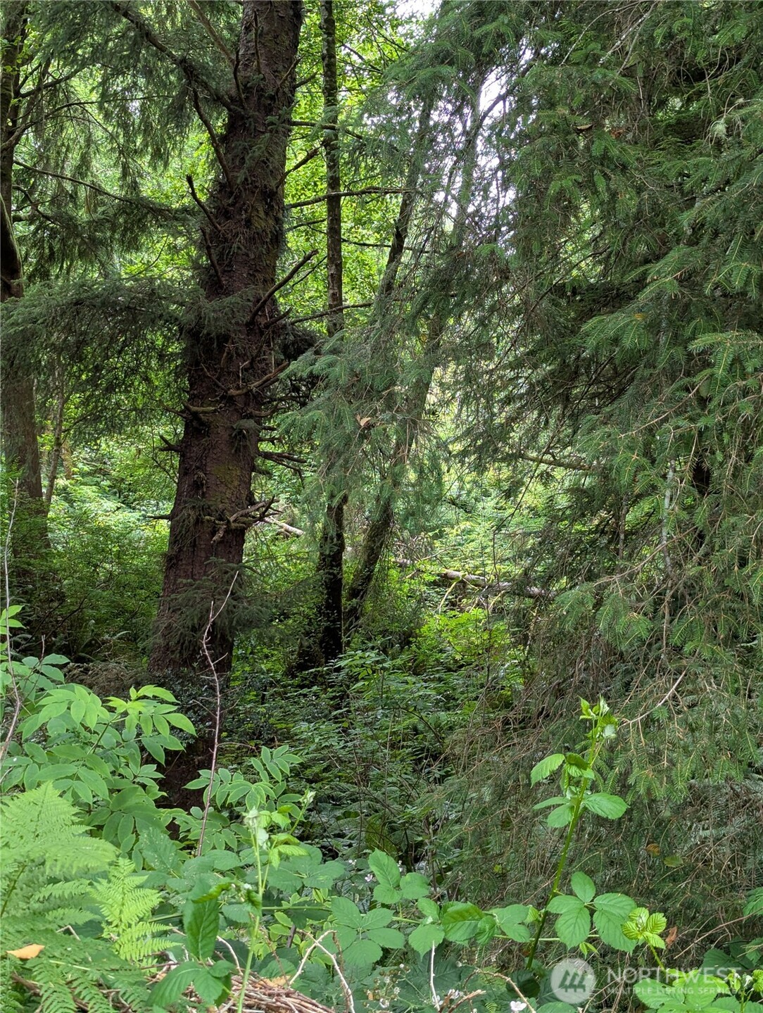 0 Lot 14 Lamontay Place Property Photo 3