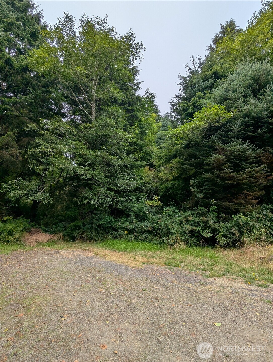 0 Lot 14 Lamontay Place Property Photo 4