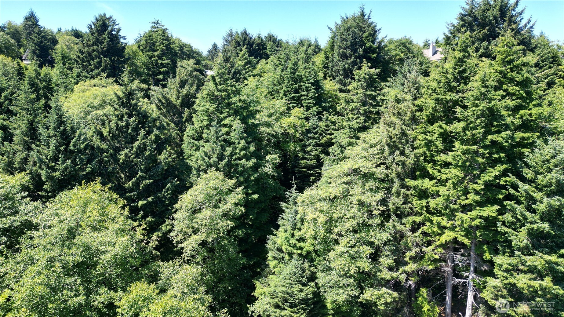 0 Lot 14 Lamontay Place Property Photo 5