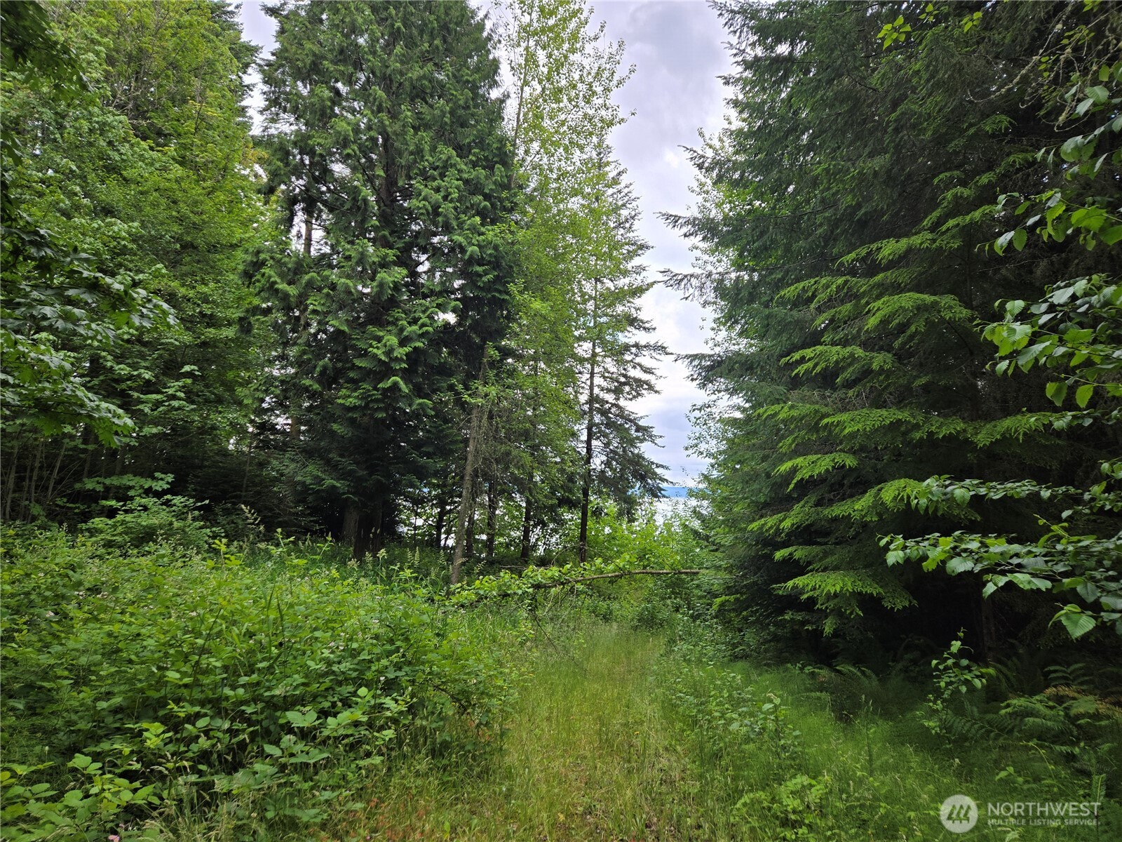 10307 Ne Paradise Cove Lane (2 Lots) Property Photo 6
