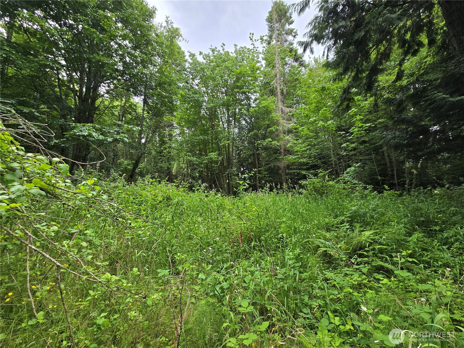 10307 Ne Paradise Cove Lane (2 Lots) Property Photo 7
