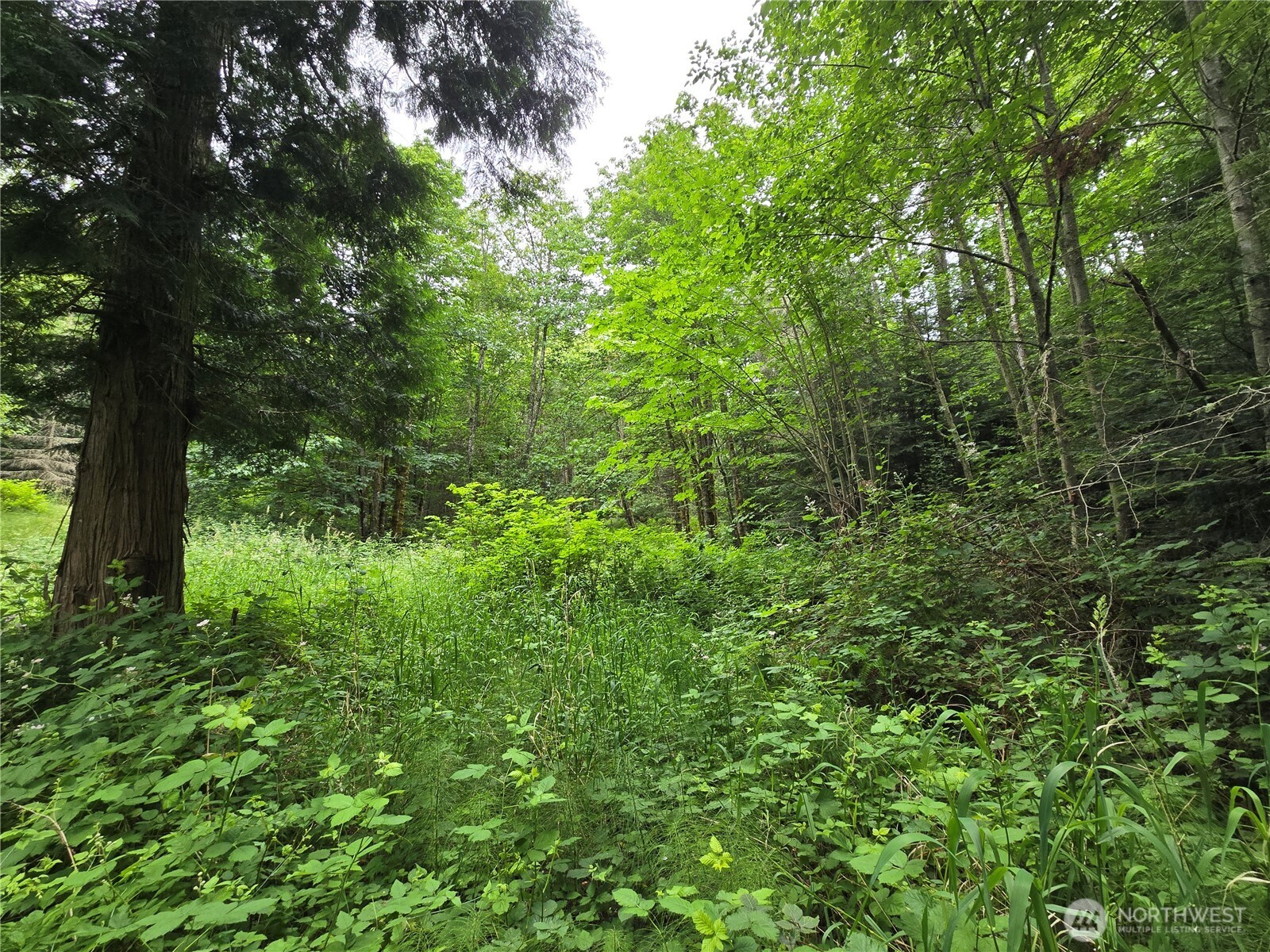 10307 Ne Paradise Cove Lane (2 Lots) Property Photo 8