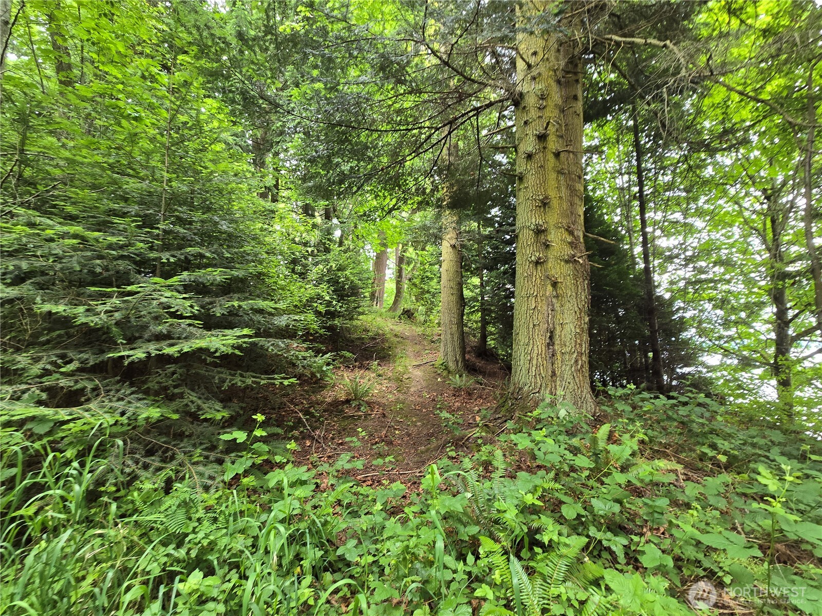 10307 Ne Paradise Cove Lane (2 Lots) Property Photo 9