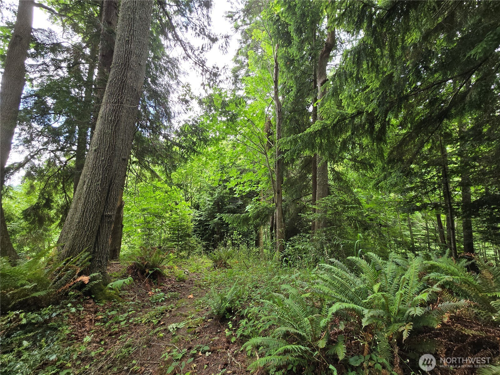10307 Ne Paradise Cove Lane (2 Lots) Property Photo 10