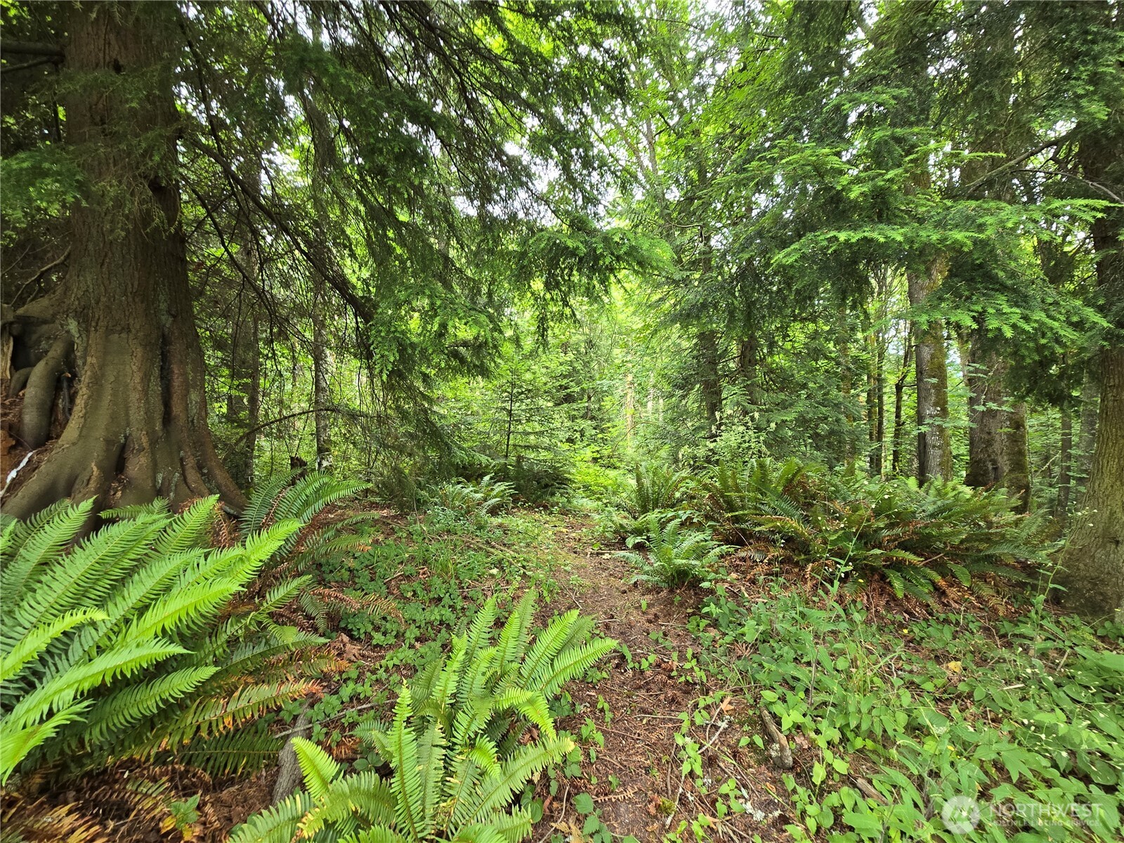 10307 Ne Paradise Cove Lane (2 Lots) Property Photo 11