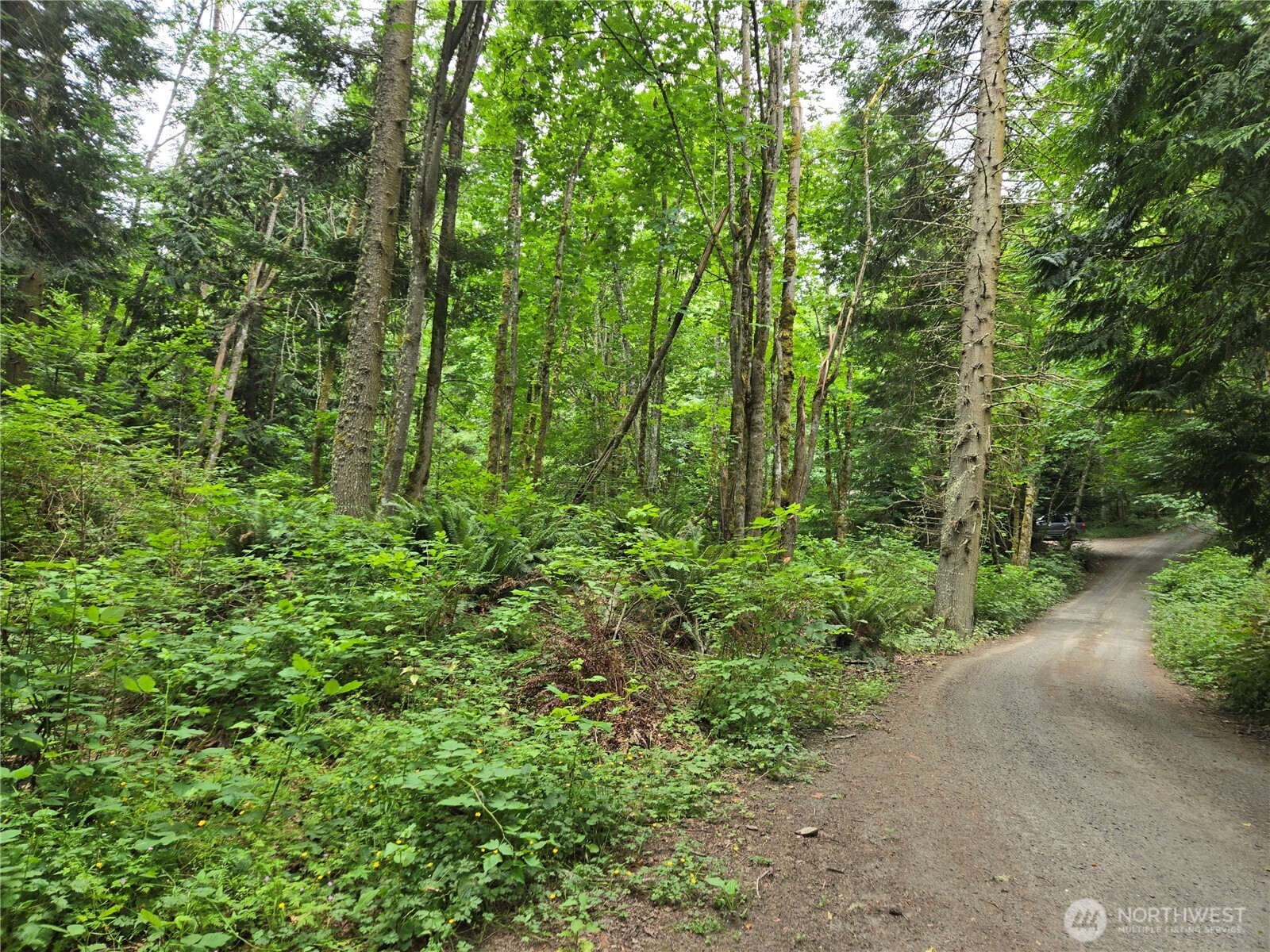 10307 Ne Paradise Cove Lane (2 Lots) Property Photo 12