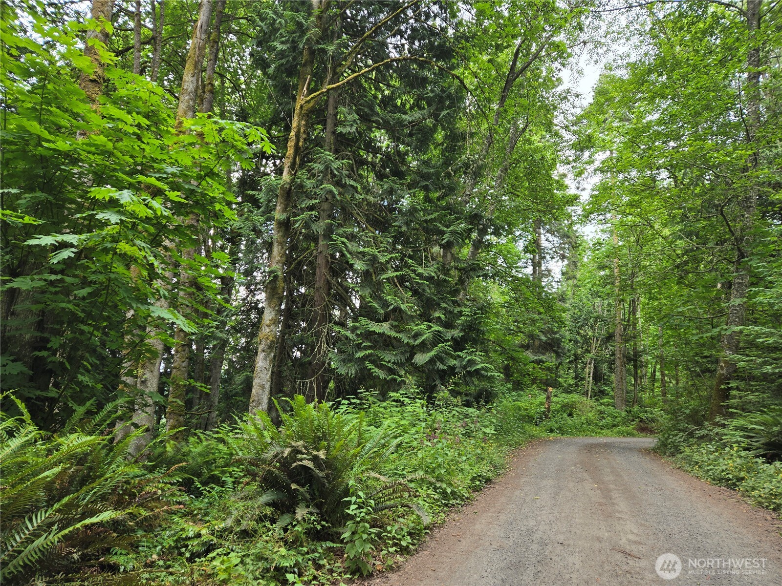 10307 Ne Paradise Cove Lane (2 Lots) Property Photo 13