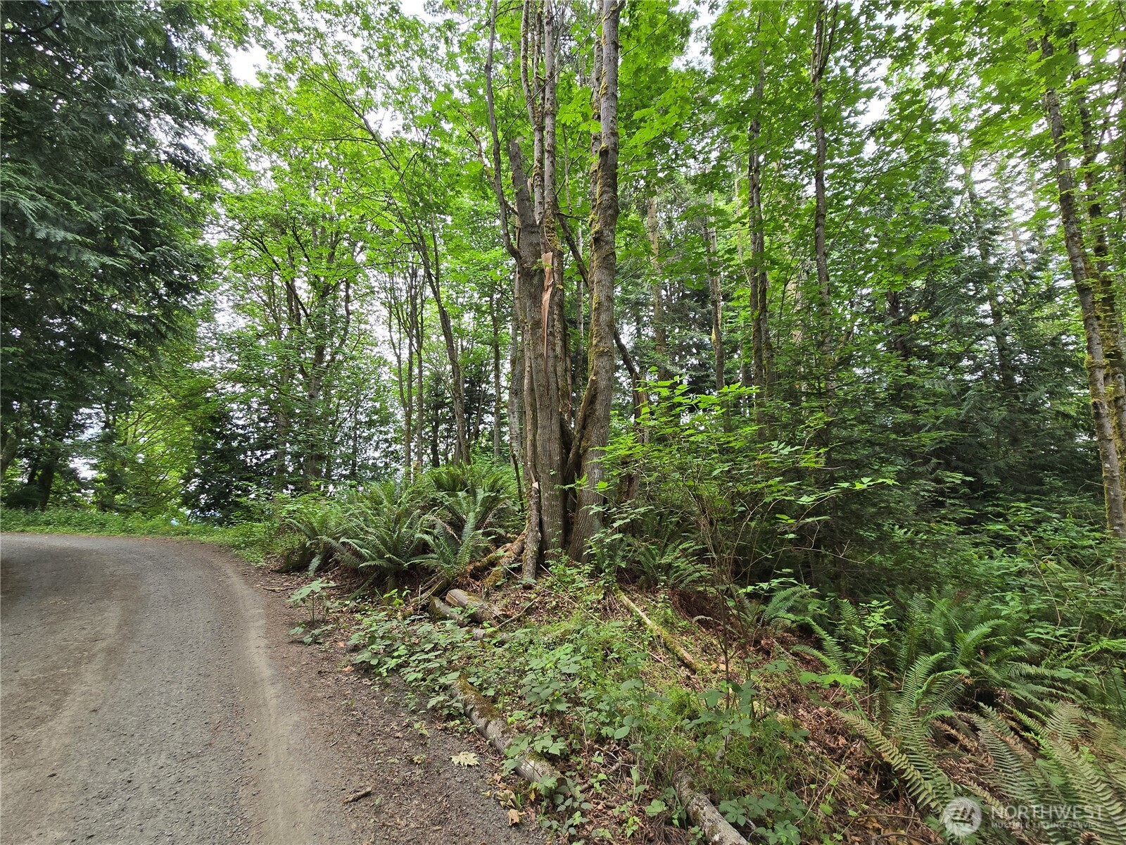 10307 Ne Paradise Cove Lane (2 Lots) Property Photo 14