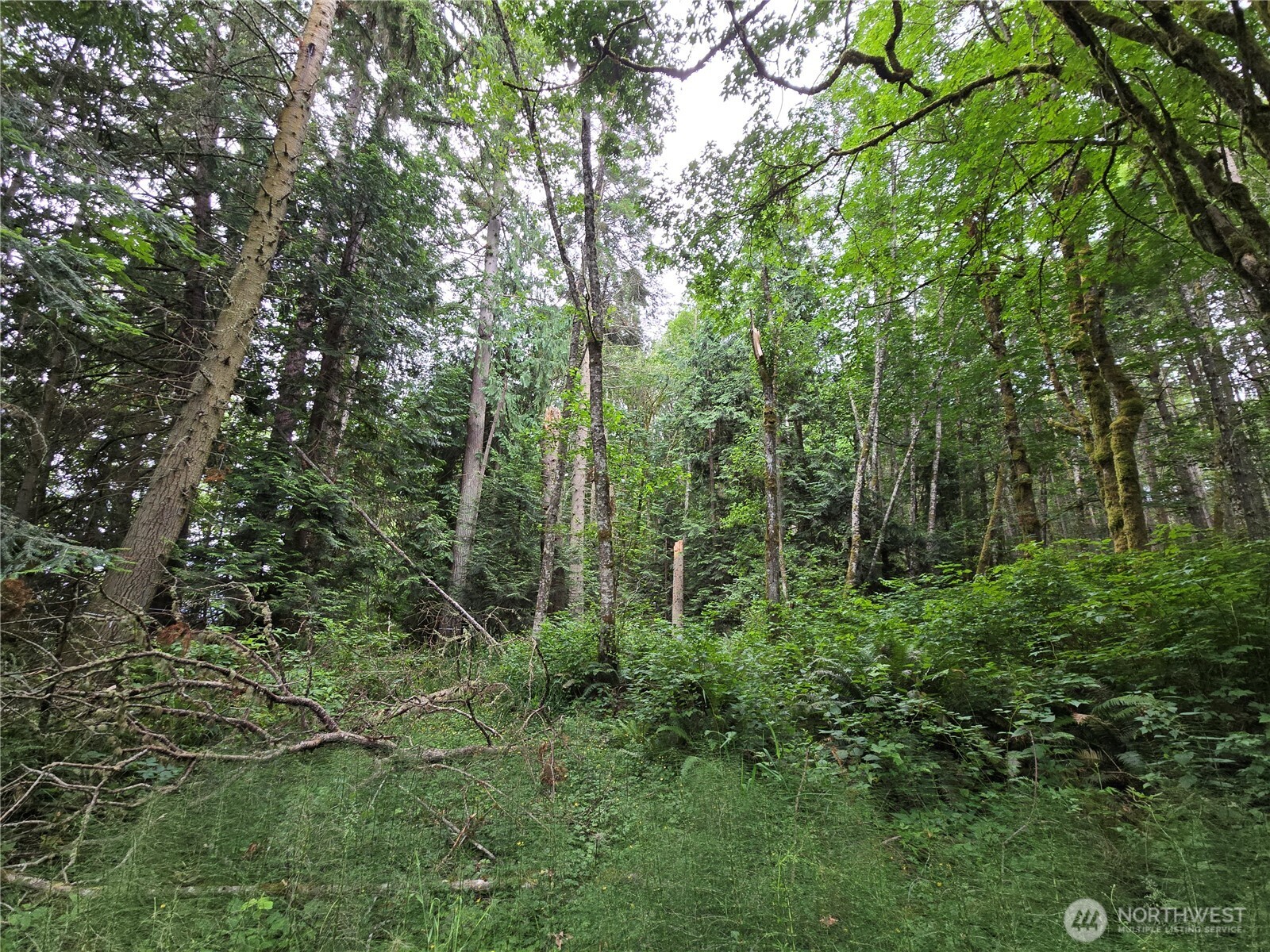 10307 Ne Paradise Cove Lane (2 Lots) Property Photo 15