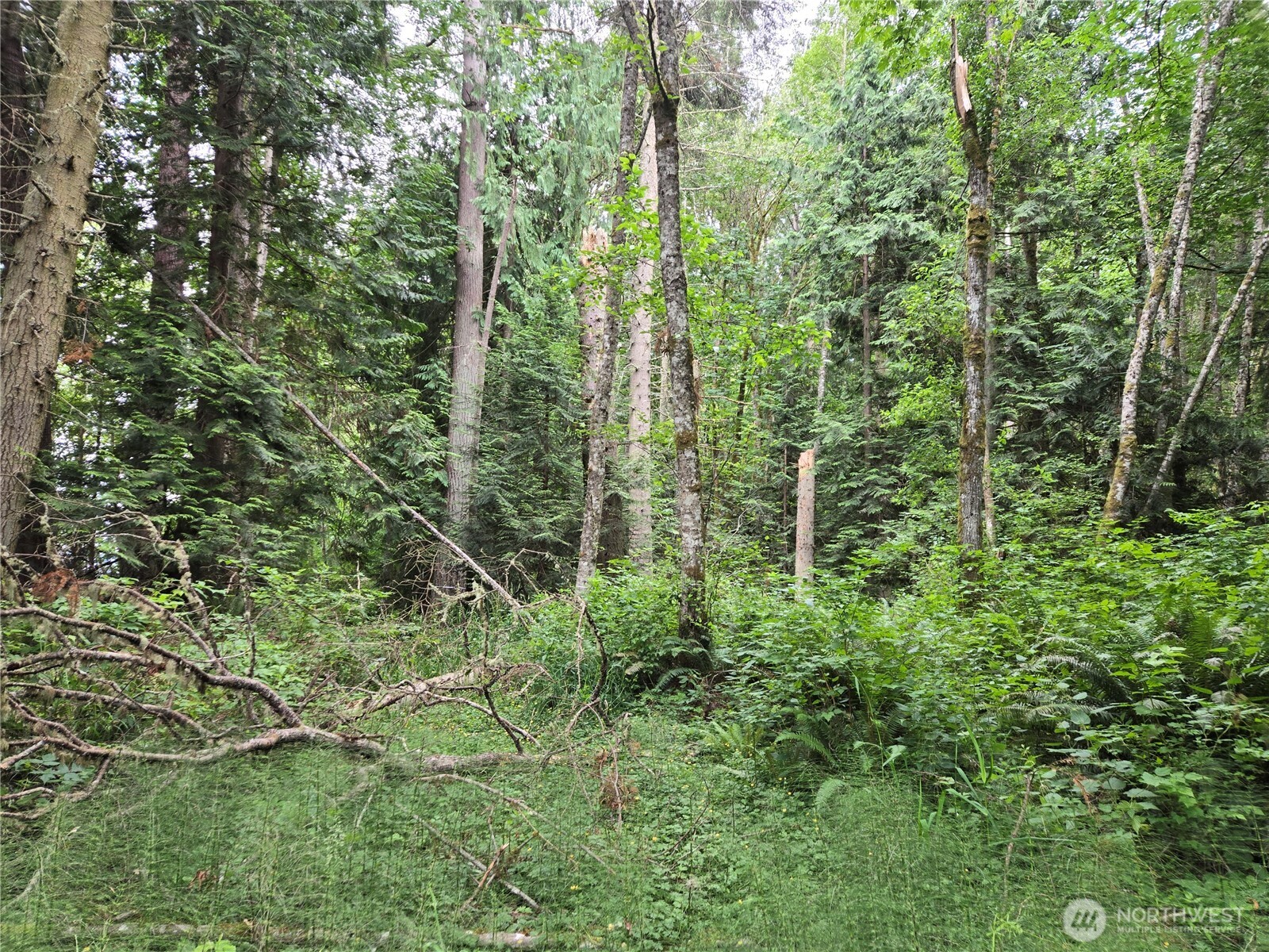 10307 Ne Paradise Cove Lane (2 Lots) Property Photo 16