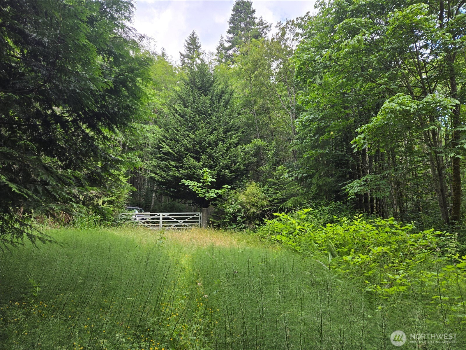 10307 Ne Paradise Cove Lane (2 Lots) Property Photo 17