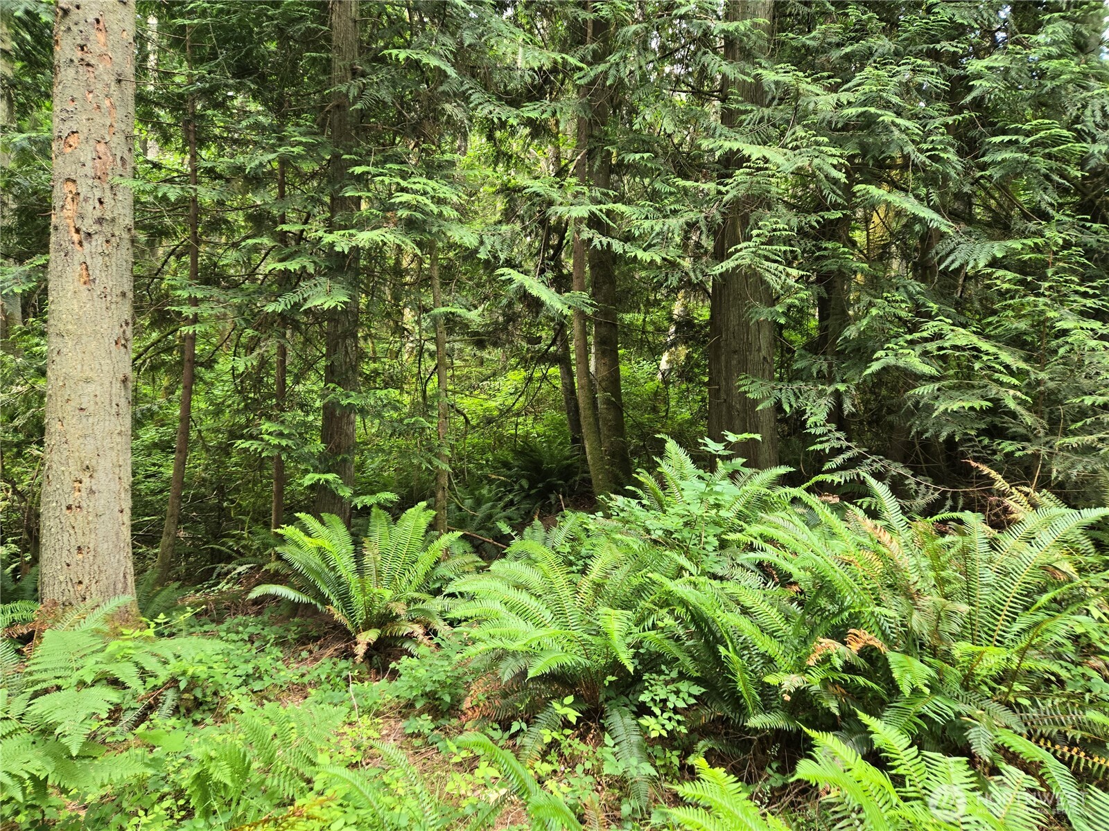 10307 Ne Paradise Cove Lane (2 Lots) Property Photo 19