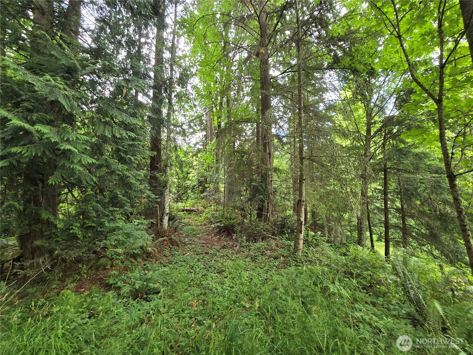 10307 Ne Paradise Cove Lane (2 Lots) Property Photo 22