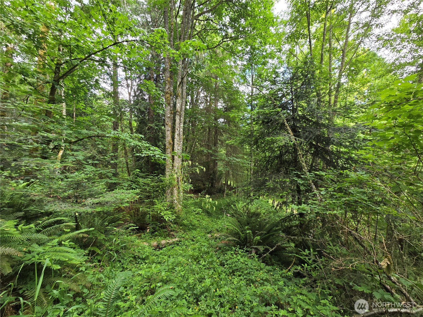 10307 Ne Paradise Cove Lane (2 Lots) Property Photo 23