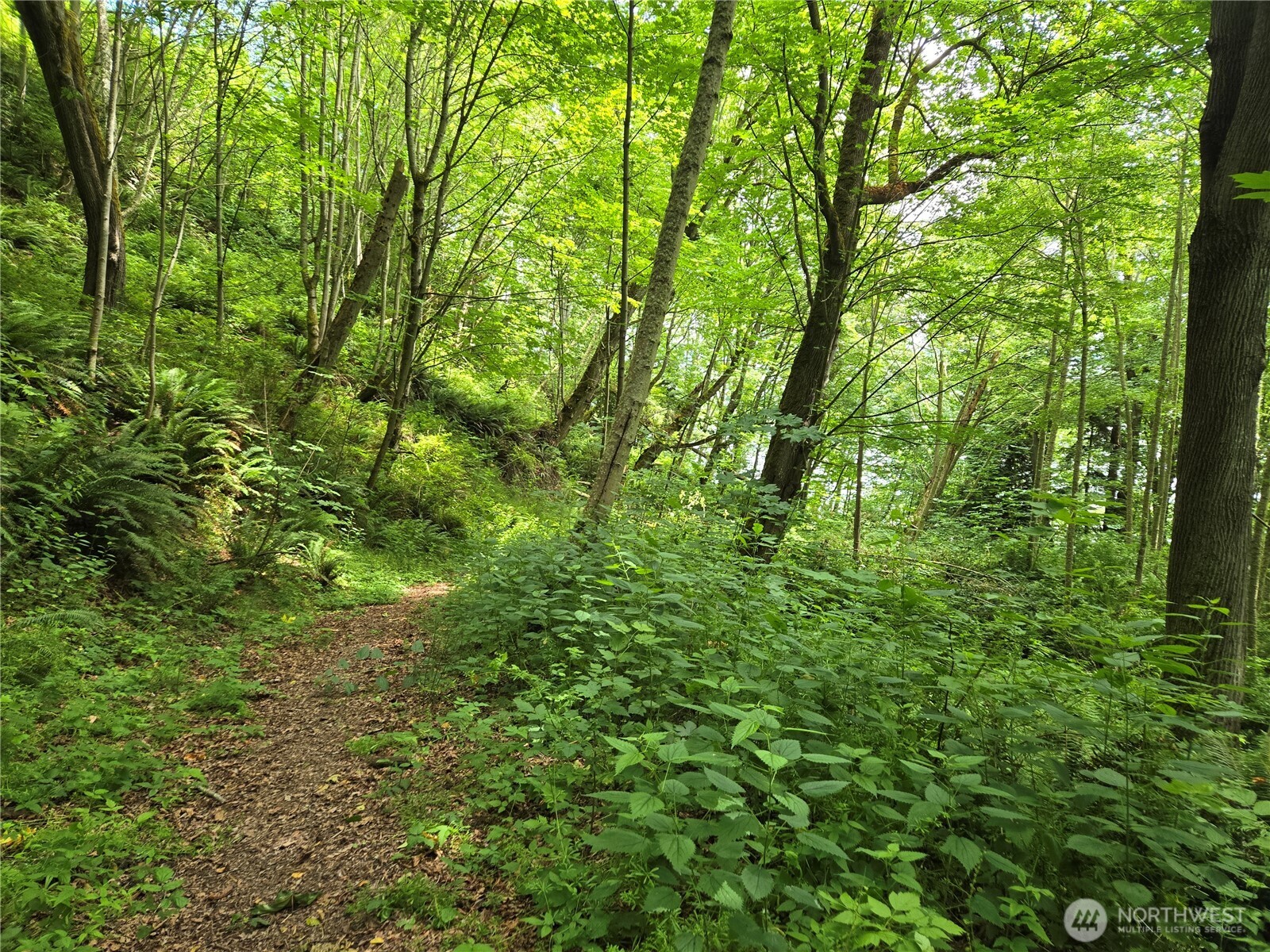 10307 Ne Paradise Cove Lane (2 Lots) Property Photo 24