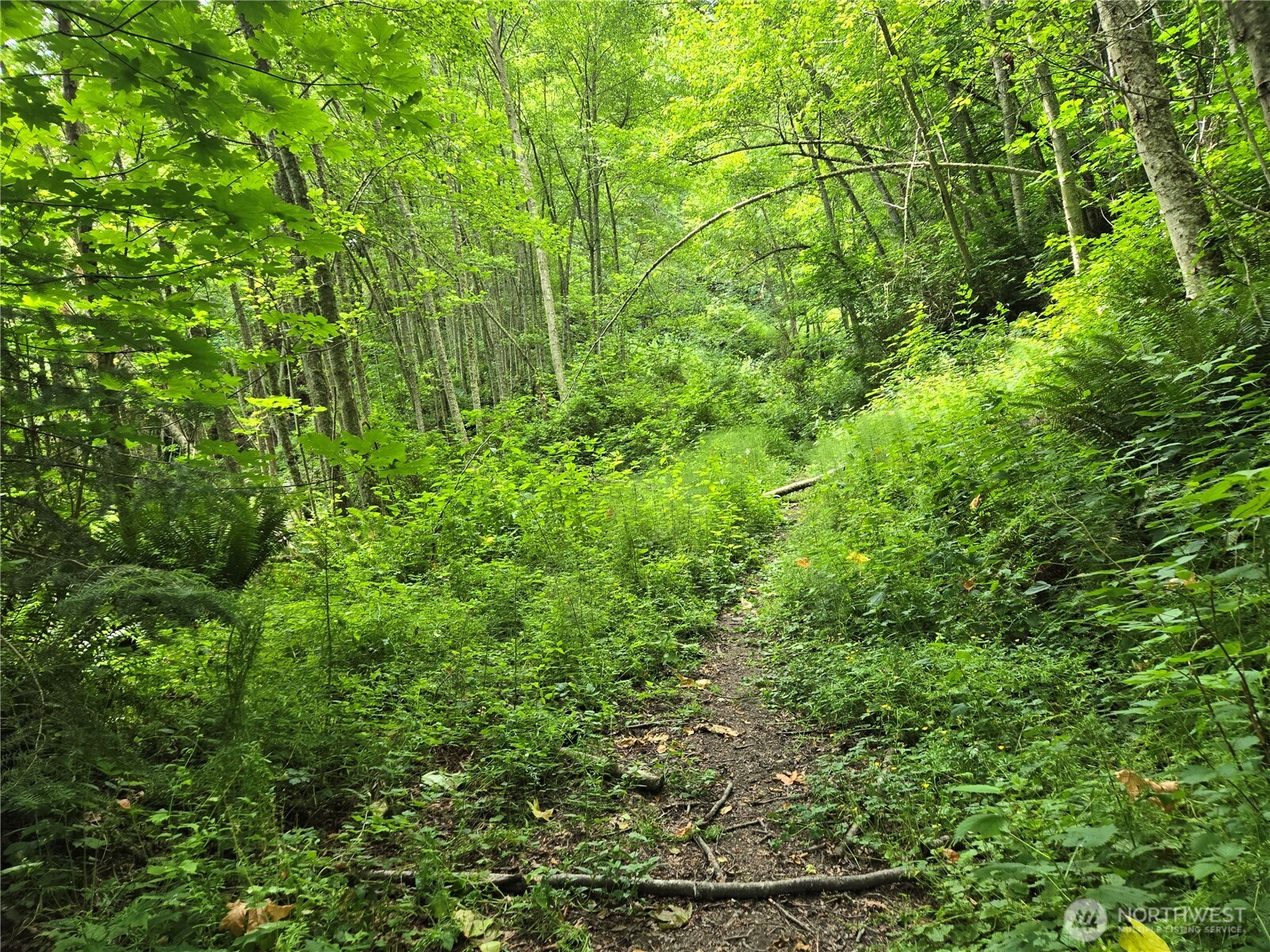 10307 Ne Paradise Cove Lane (2 Lots) Property Photo 25