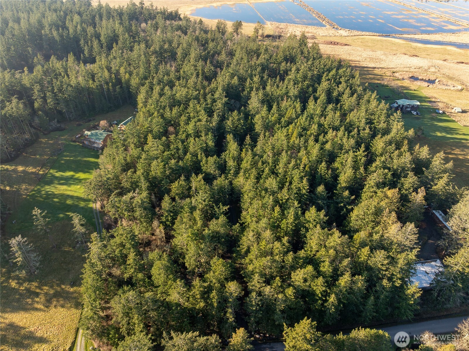 1372 Bakerview Road Property Photo 22