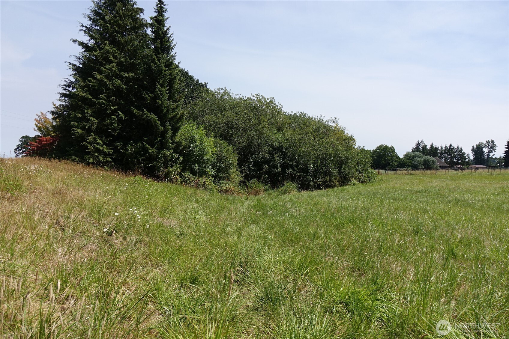 2346 Rice Road Property Photo 16