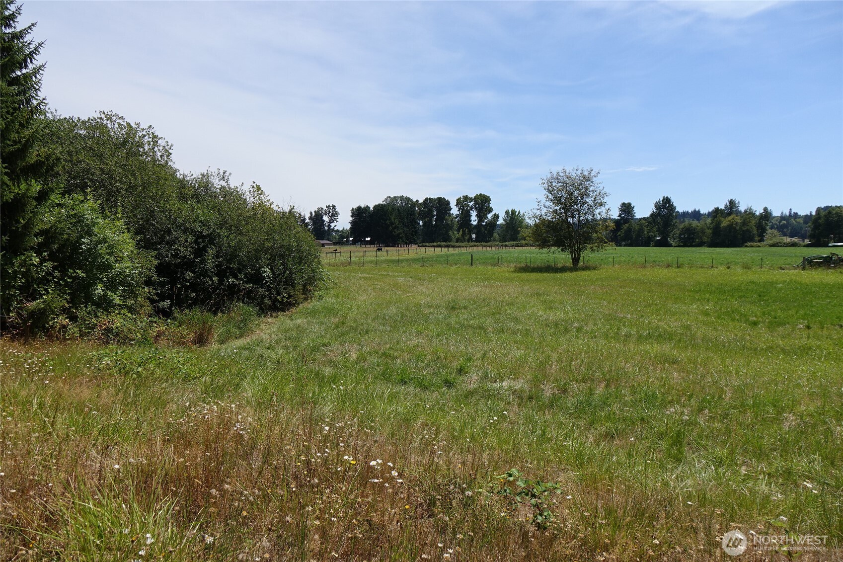 2346 Rice Road Property Photo 17