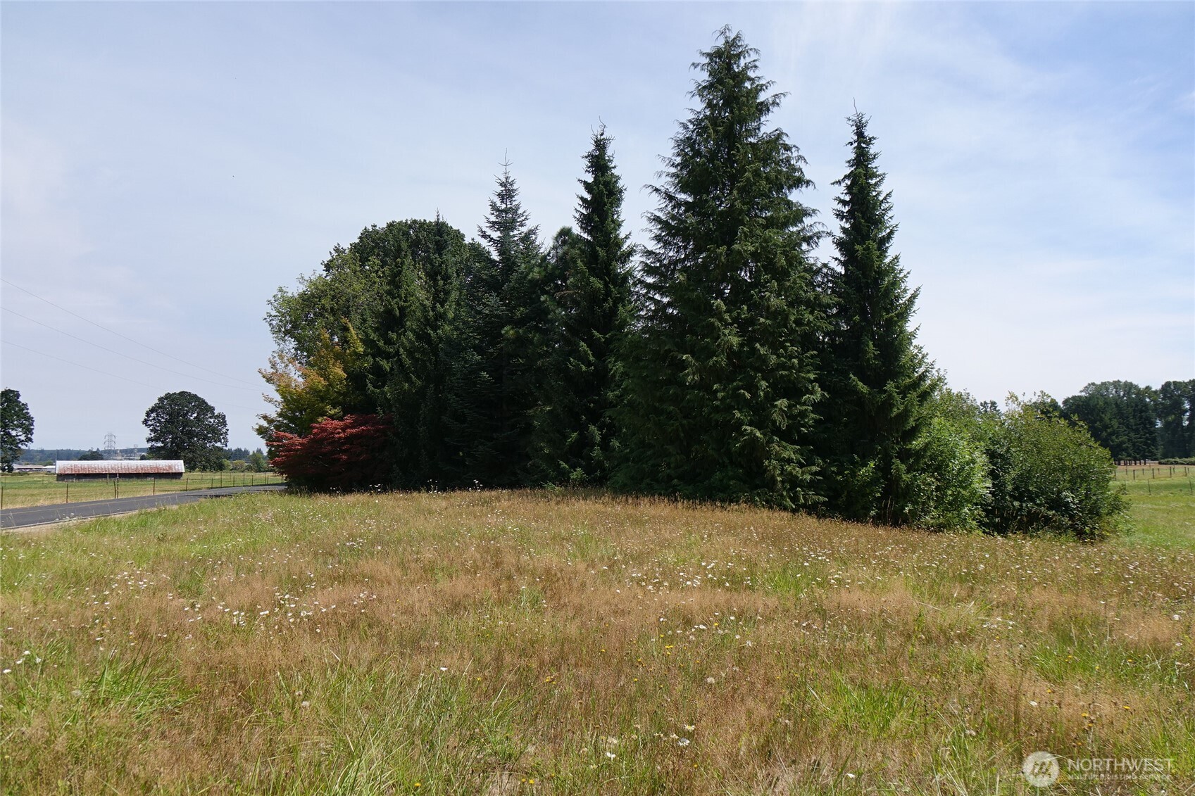2346 Rice Road Property Photo 20