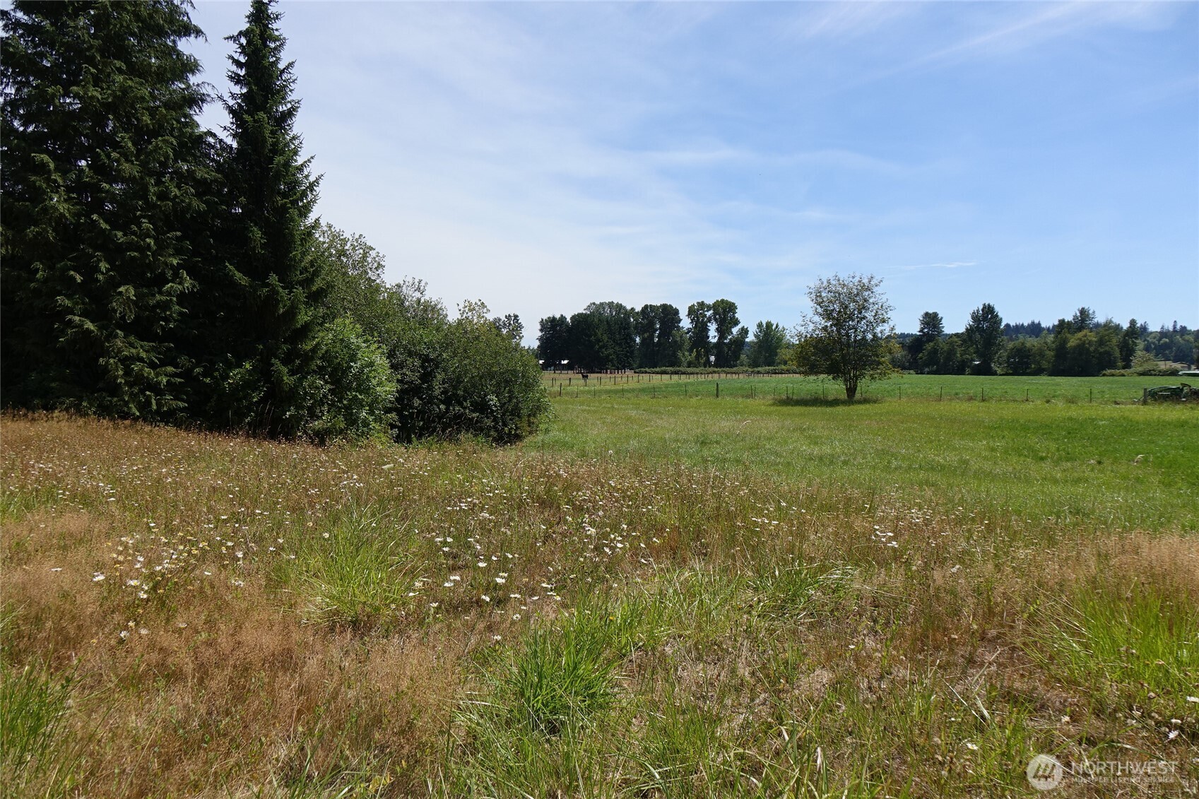 2346 Rice Road Property Photo 22