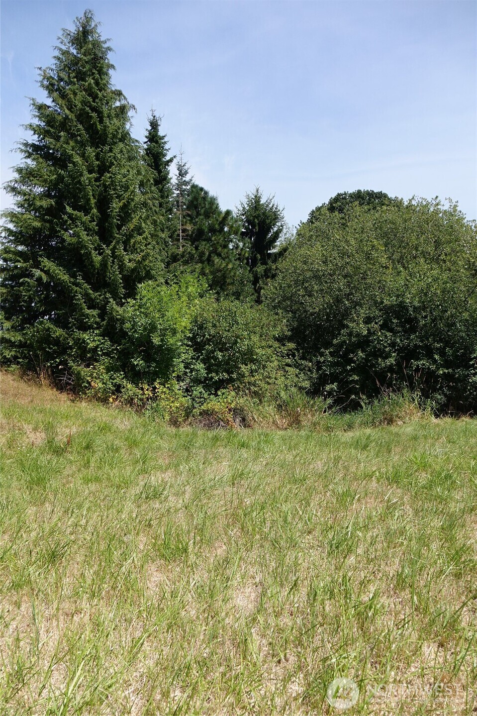2346 Rice Road Property Photo 23