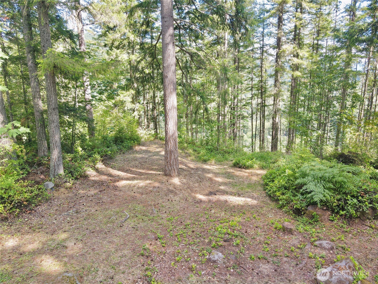 49923 146th Avenue Property Photo 28