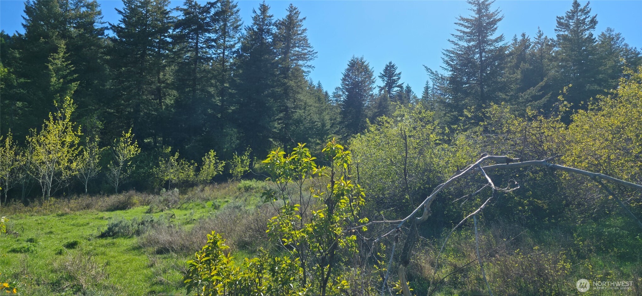 112 Ellemeham Mtn Property Photo 1