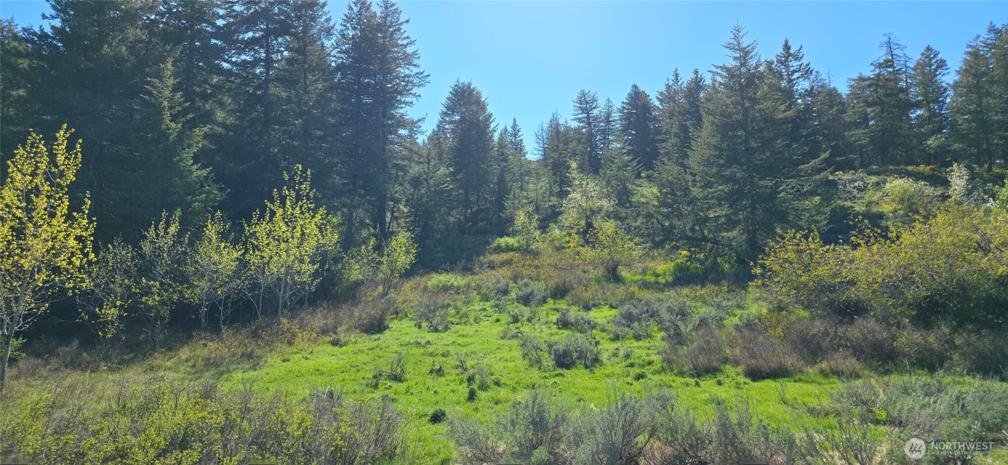 113 Ellemeham Mtn Property Photo 1