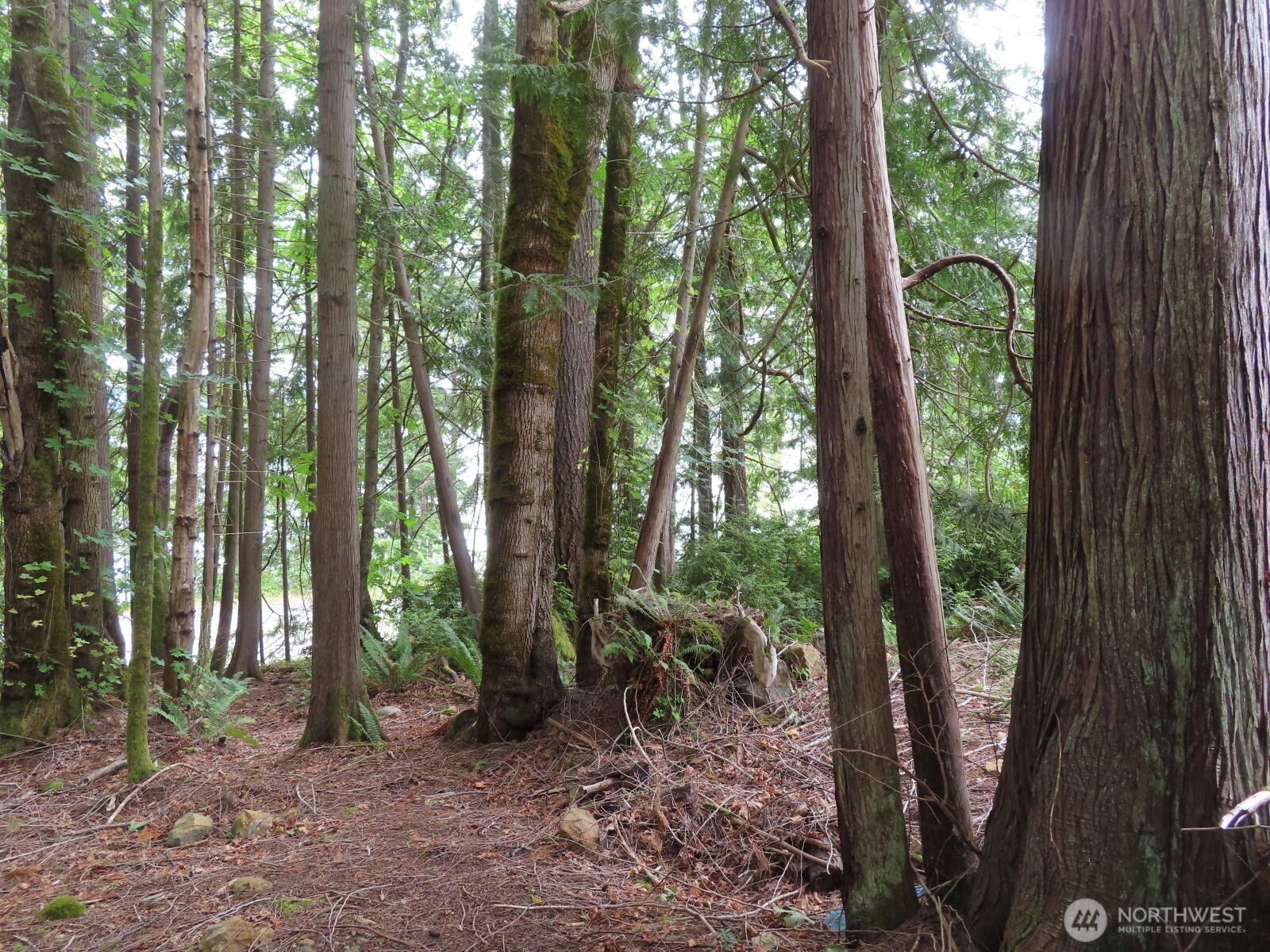 0 Lot 15 Tog Road Property Photo 1