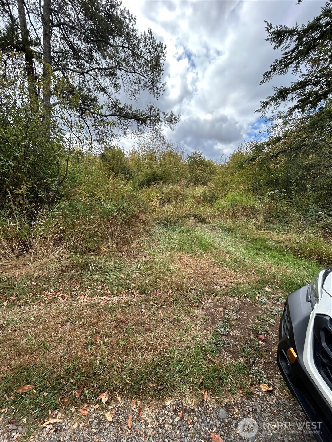 0 Nicholson Road Property Photo 1