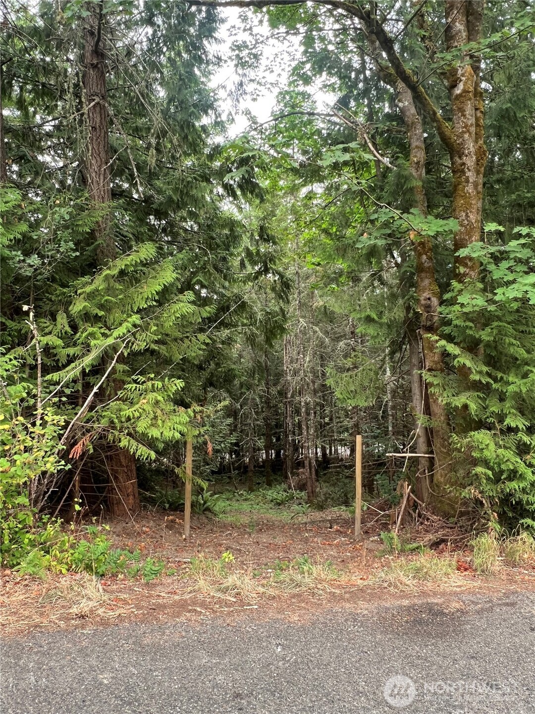 5503 Lackey Court Property Photo 1