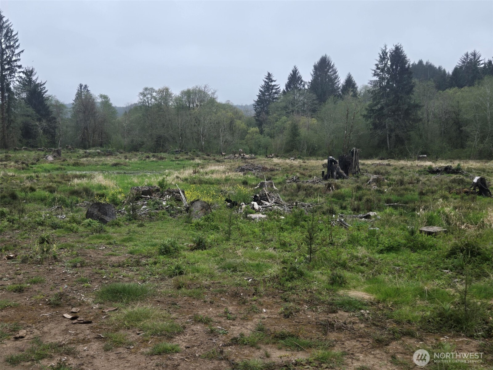 1139 North River Road Property Photo 1