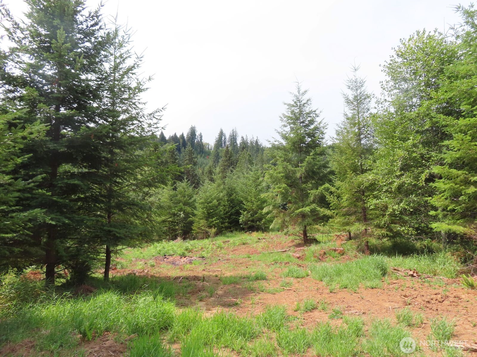 0 Lot I Mill Creek Lane Property Photo 1