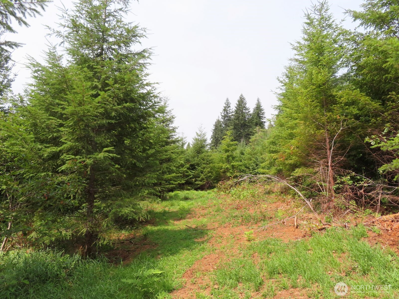 0 Lot J Mill Creek Lane Property Photo 1