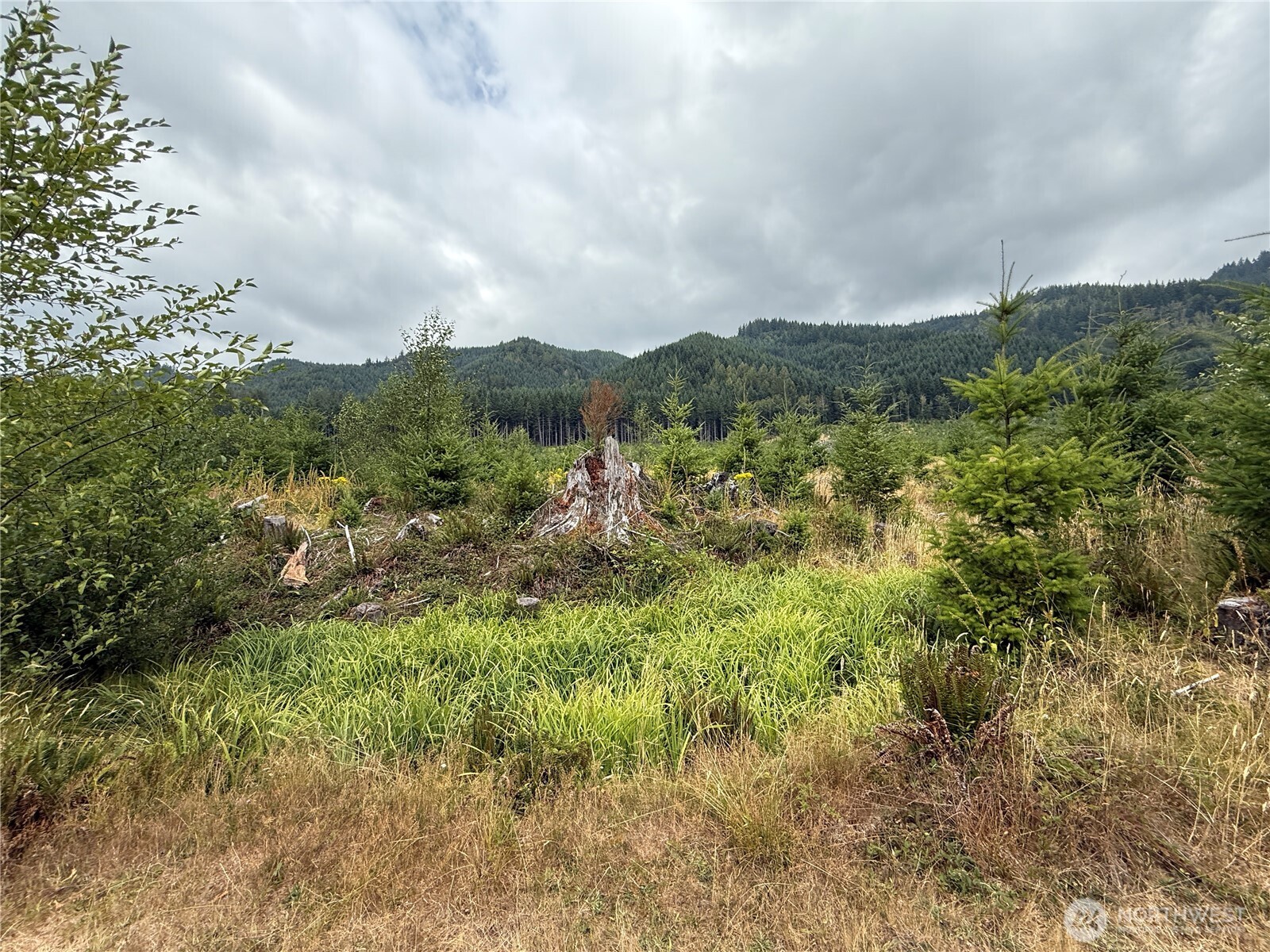 327 Xx Kolisch Road Property Photo 2