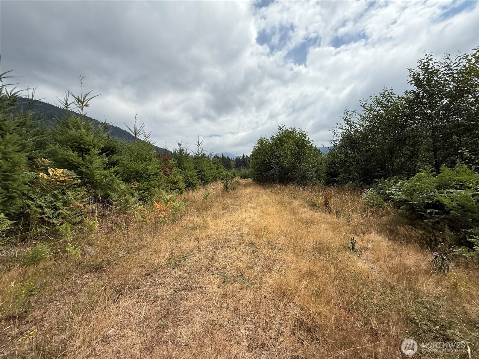 327 Xx Kolisch Road Property Photo 9