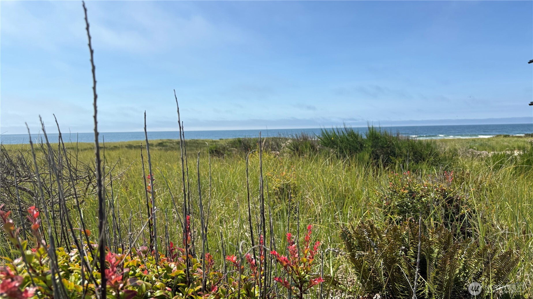 615 Dune Crest Loop Property Photo 1