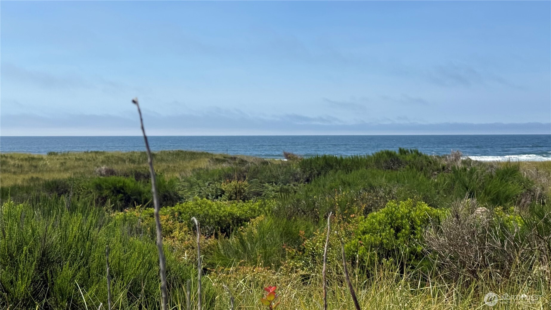 615 Dune Crest Loop Property Photo 12