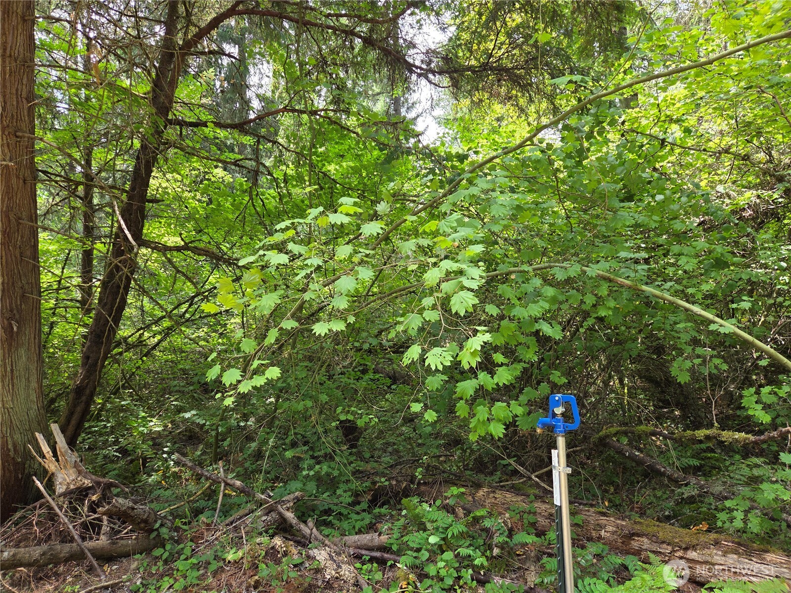 22041 Clear Lake Boulevard Property Photo 1