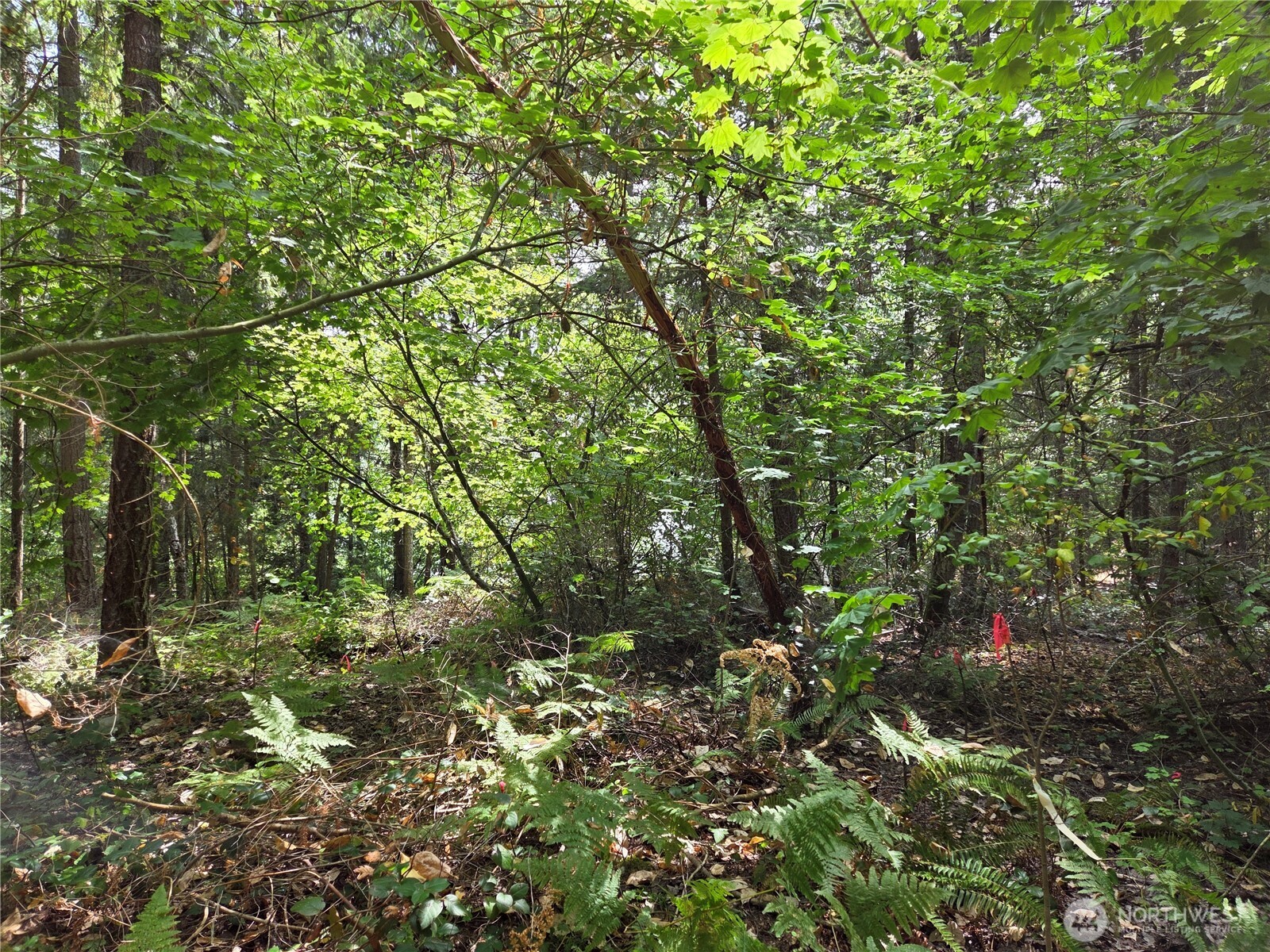 22041 Clear Lake Boulevard Property Photo 2
