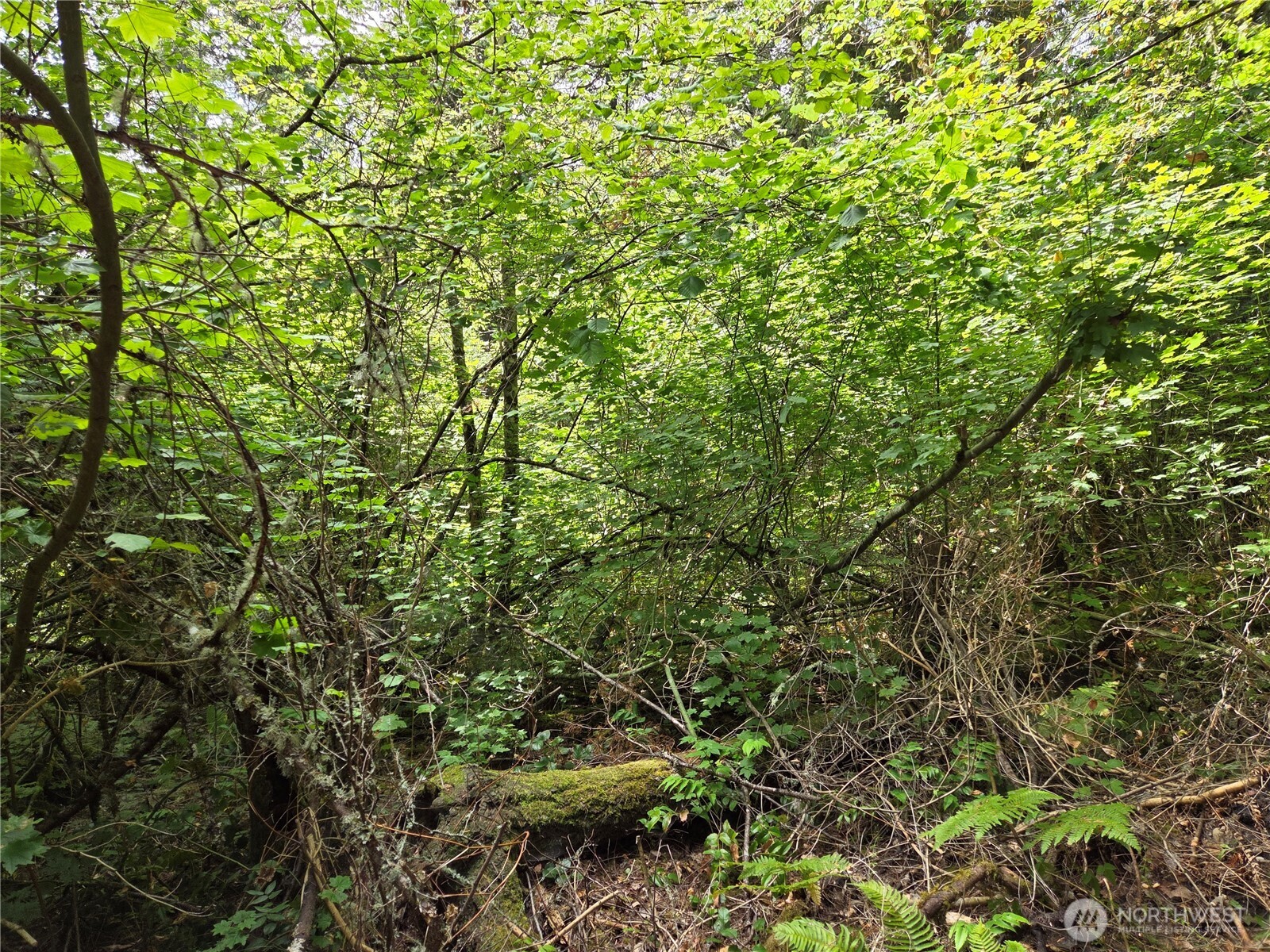 22041 Clear Lake Boulevard Property Photo 3