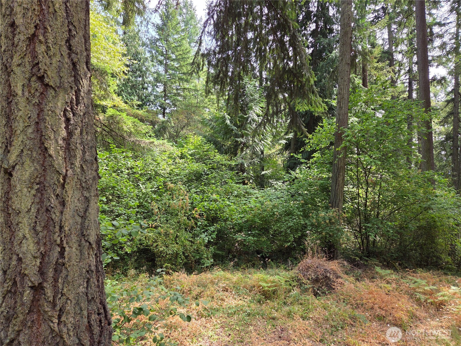 22041 Clear Lake Boulevard Property Photo 4